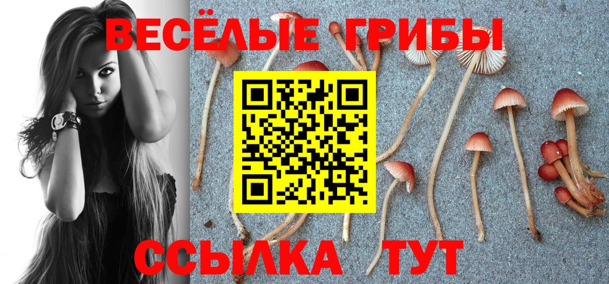 Галлюциногенные грибы GOLDEN TEACHER Кизилюрт